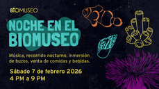 Paga $9: Noche en el Biomuseo