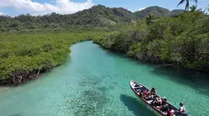 Paga $35: Pasadía en Isla Mamey