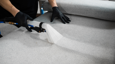 Desde $23: Limpieza de Sofá