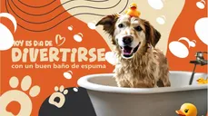 Desde $5: Baño y Guardería Para Perros