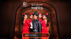 Paga $20: Espectáculo de Flamenco