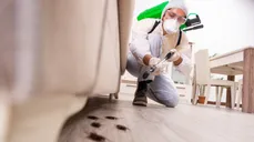 Desde $21: Servicio de Fumigación